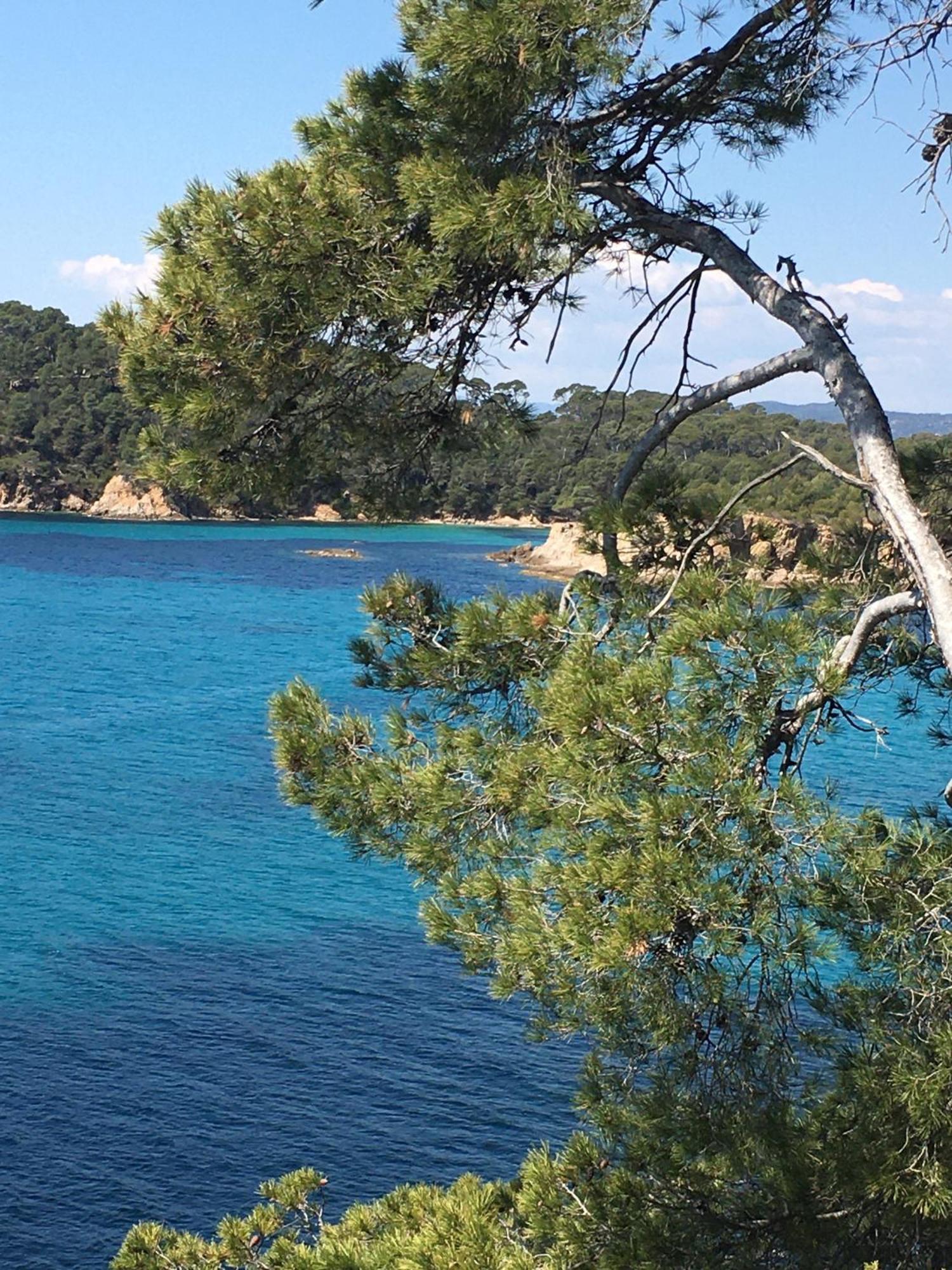 T3 Front De Mer Dernier Etage Vue Mer Petit Havre De Paix Pour Vos Vacances Emplacement Unique Vue Mer Panoramique A 180 Degres Pour Ce T3 En Face De La Plage Front De Mer Vue Sur Les Iles 5 Et Dernier Etage Avec Ascenseur Le Lavandou Exterior foto